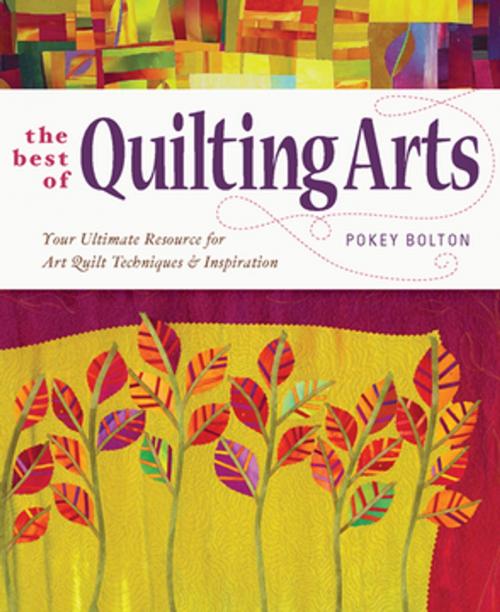 Cover of the book The Best of Quilting Arts by Pokey Bolton, F+W Media