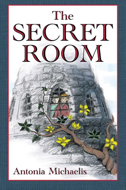 Cover of the book The Secret Room by Antonia Michaelis, Sky Pony