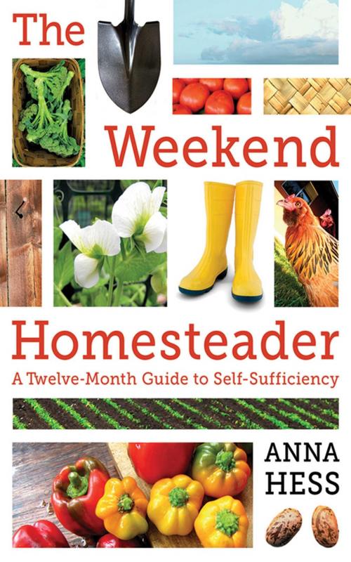 Cover of the book The Weekend Homesteader by Anna Hess, Skyhorse
