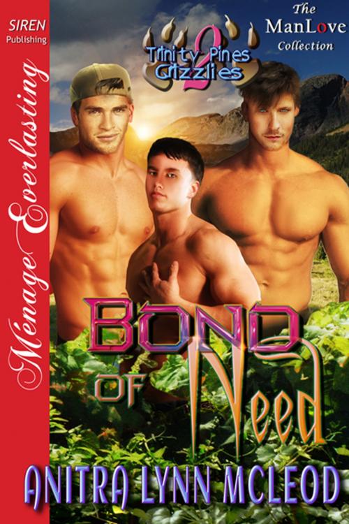 Cover of the book Bond of Need by Anitra Lynn McLeod, Siren-BookStrand