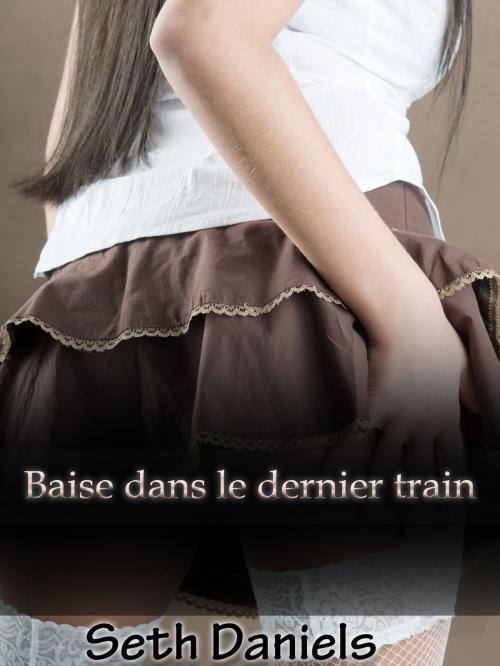 Cover of the book Baise dans le dernier train by Seth Daniels, Black Serpent Erotica