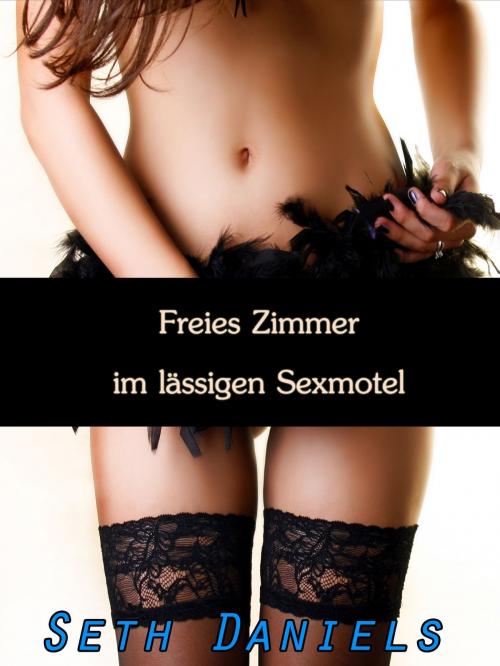 Cover of the book Freies Zimmer im lässigen Sexmotel by Seth Daniels, Black Serpent Erotica