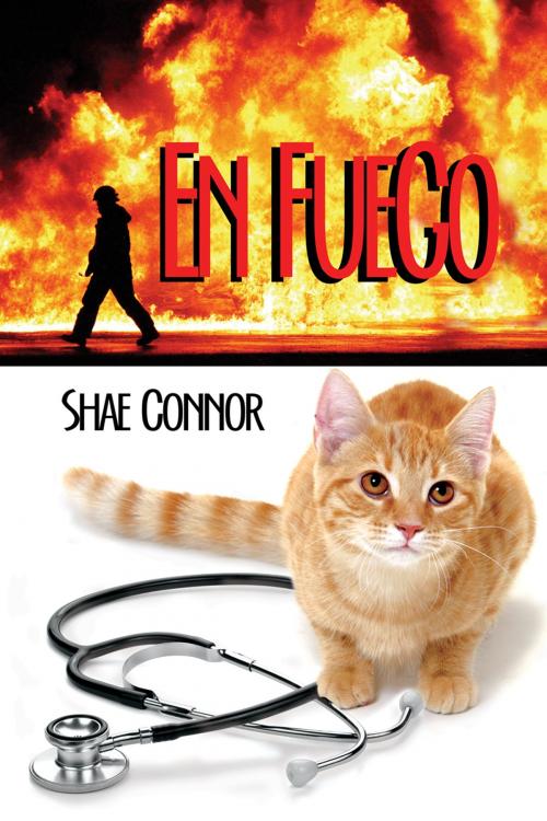 Cover of the book En Fuego by Shae Connor, Dreamspinner Press