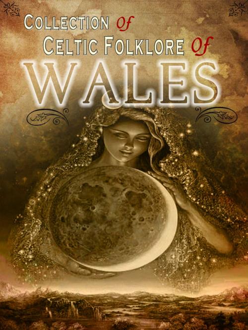 Cover of the book Collection of Celtic Folklore Of Wales by NETLANCERS INC, AppsPublisher