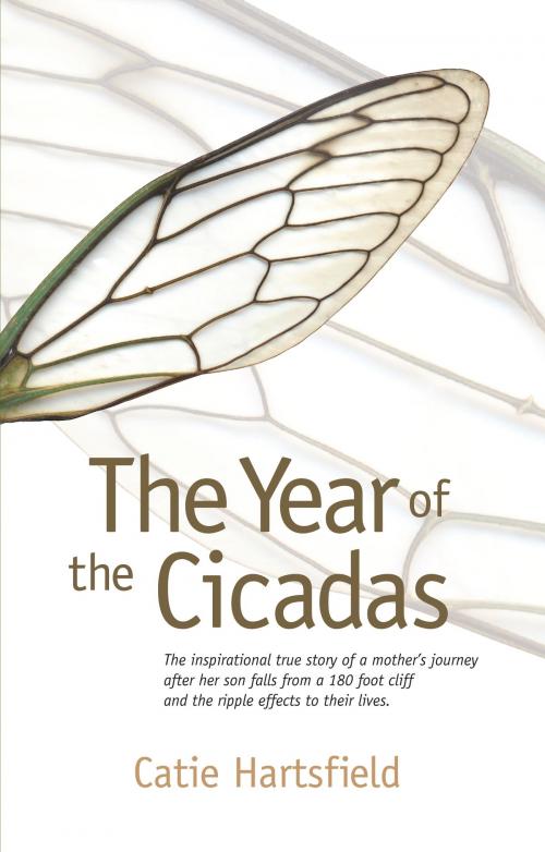 Cover of the book The Year of the Cicadas by Catie Hartsfield, BookBaby