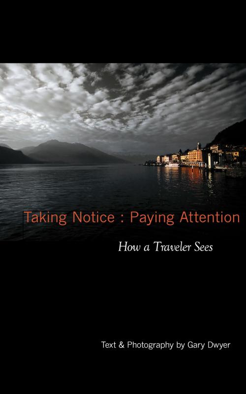 Cover of the book Taking Notice : Paying Attention by Gary Dwyer, BookBaby