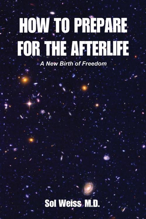 Cover of the book How to Prepare for the Afterlife by Sol Weiss, M.D., BookBaby