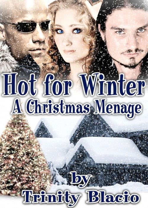 Cover of the book Hot For Winter by Trinity Blacio, Riverdale Avenue Books