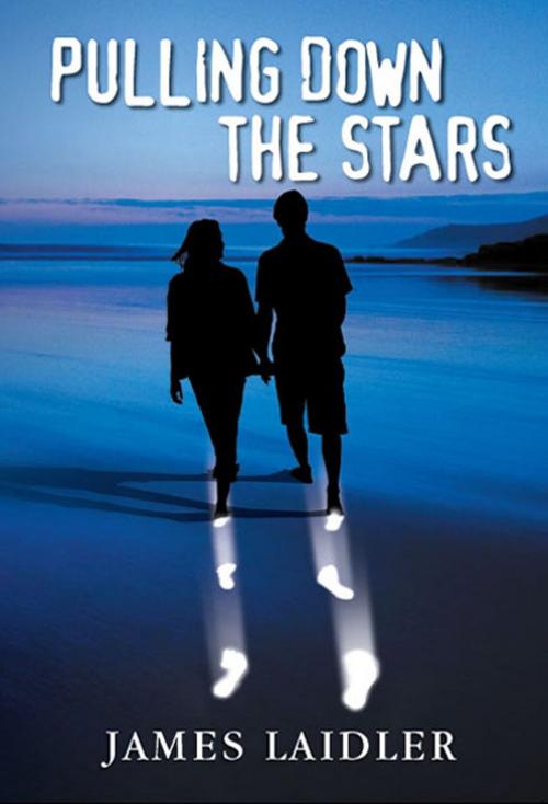 Cover of the book Pulling Down the Stars by James Laidler, Hybrid Publishers