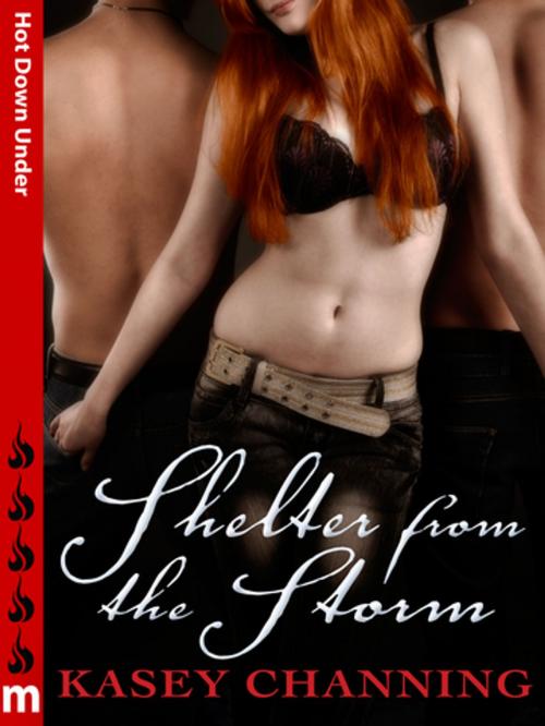 Cover of the book Shelter From the Storm: Hot Down Under by Kasey Channing, Pan Macmillan Australia