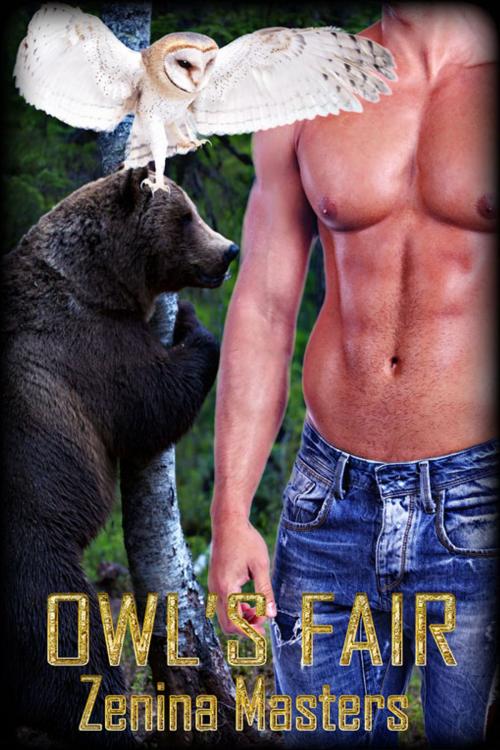 Cover of the book Owl's Fair by Zenina Masters, eXtasy Books Inc