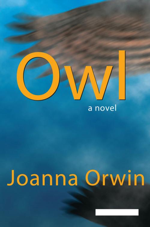 Cover of the book Owl by Joanna Orwin, Penguin Random House New Zealand
