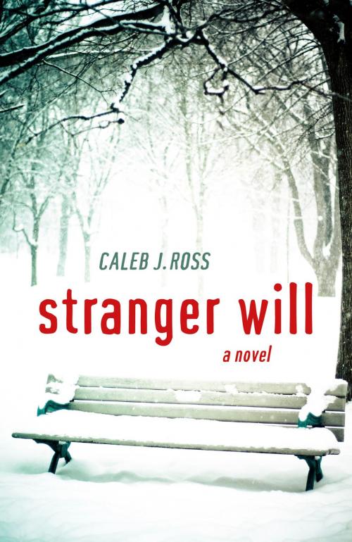 Cover of the book Stranger Will by Caleb J. Ross, John Hunt Publishing