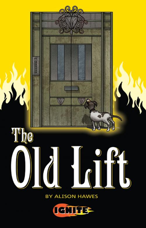 Cover of the book The Old Lift by Alison Hawes, Badger Learning