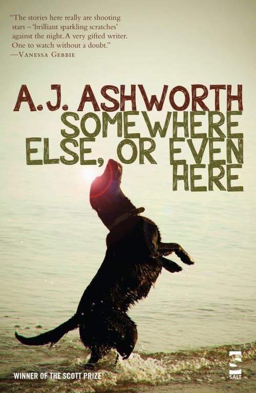 Cover of the book Somewhere Else, or Even Here by A.J. Ashworth, Salt Publishing Limited