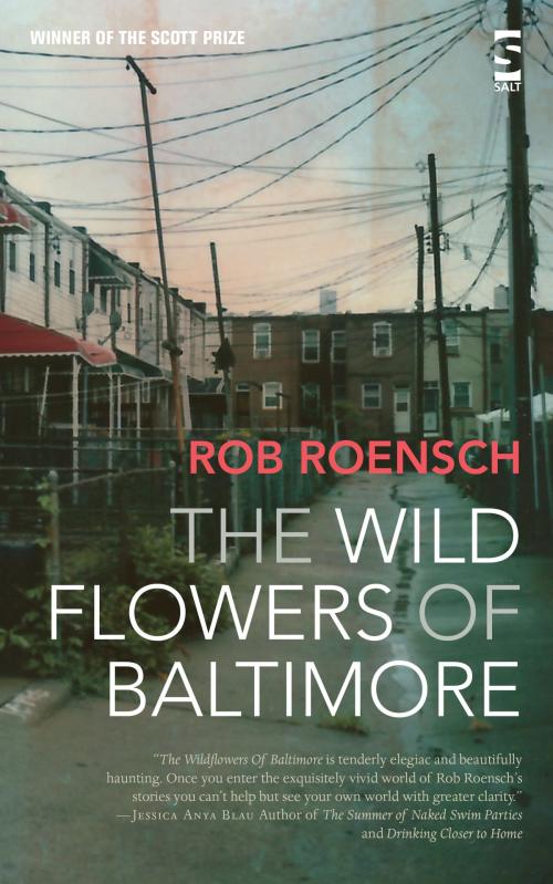 Cover of the book The Wildflowers of Baltimore by Rob Roensch, Salt Publishing Limited