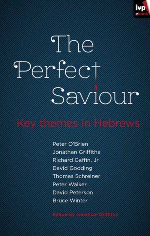 Cover of the book The Perfect Saviour by , Inter-Varsity Press