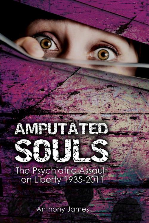 Cover of the book Amputated Souls by Anthony James, Andrews UK