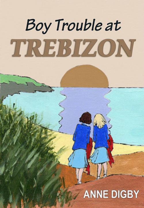 Cover of the book BOY TROUBLE AT TREBIZON by Anne Digby, Straw Hat
