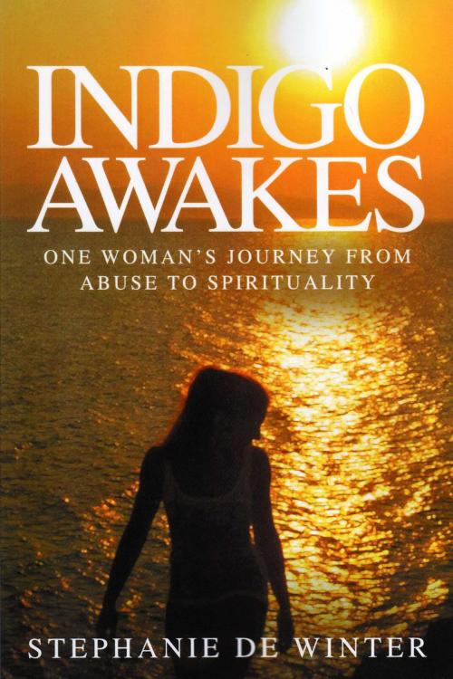 Cover of the book Indigo Awakes by Stephanie de Winter, Andrews UK