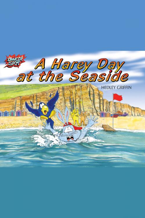 Cover of the book A Harey Day at the Seaside by Hedley Griffin, Andrews UK