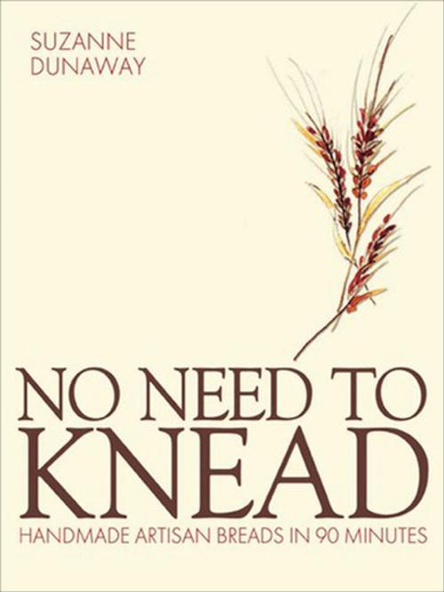 Cover of the book No Need to Knead by Suzanne Dunaway, Grub Street Publishing