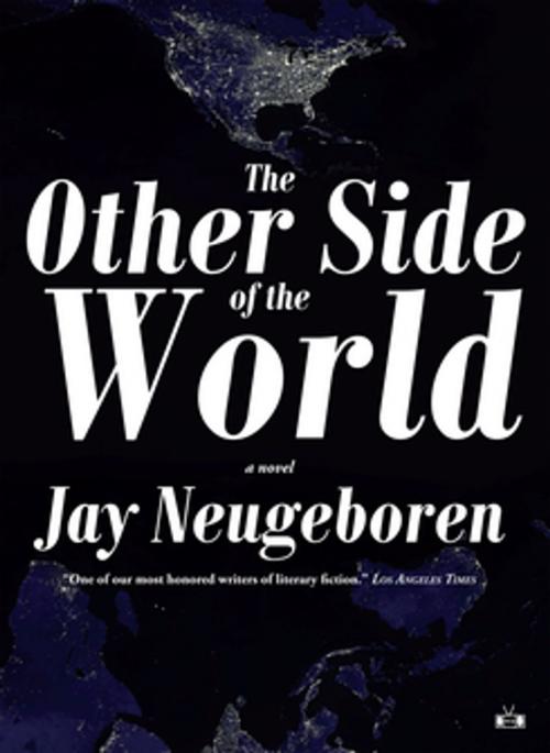 Cover of the book The Other Side of the World by Jay Neugeboren, Two Dollar Radio