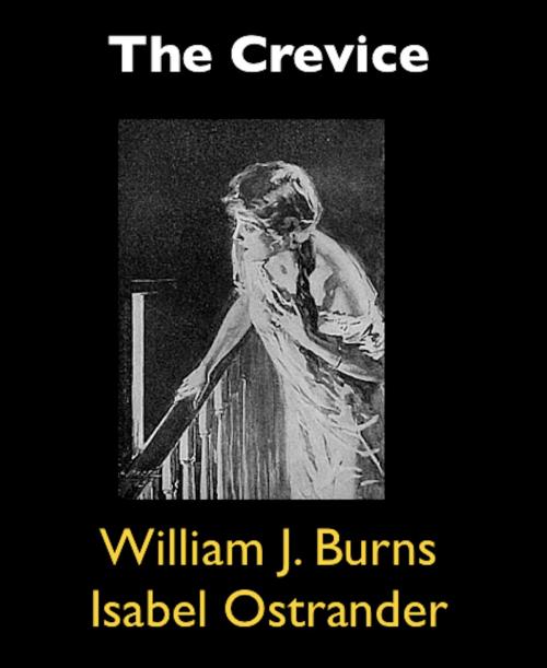Cover of the book The Crevice by William J. Burns, Isabel Ostrander, AfterMath