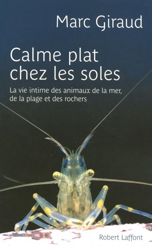 Cover of the book Calme plat chez les soles by Marc GIRAUD, Groupe Robert Laffont