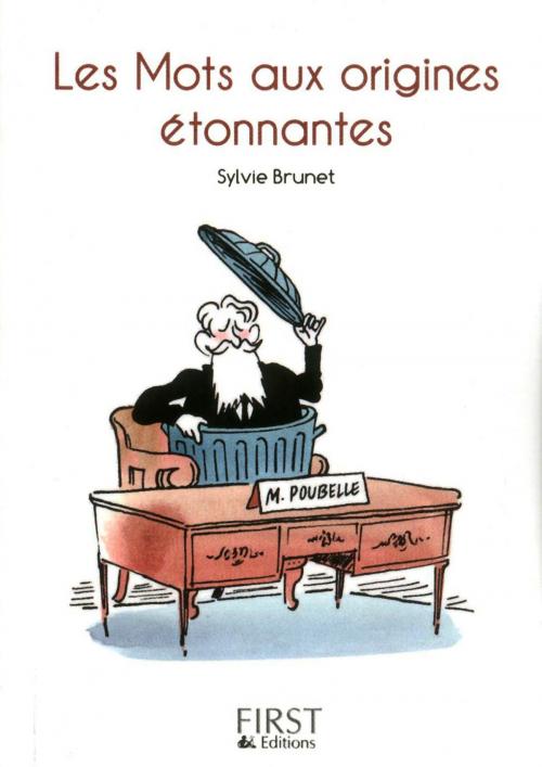 Cover of the book Petit livre de - Les mots aux origines étonnantes by Sylvie BRUNET, edi8