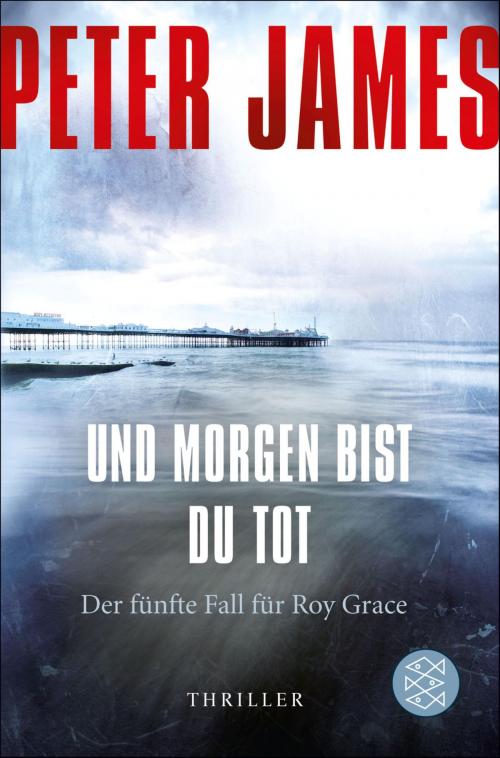 Cover of the book Und morgen bist du tot by Peter James, FISCHER E-Books