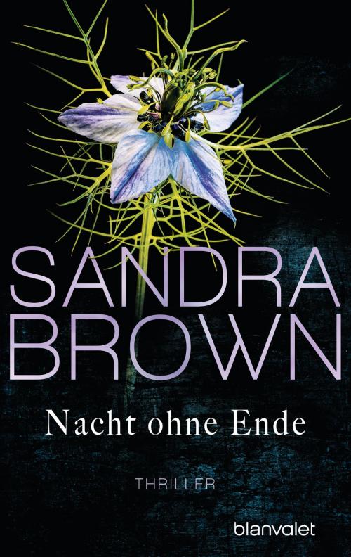 Cover of the book Nacht ohne Ende by Sandra Brown, Blanvalet Taschenbuch Verlag