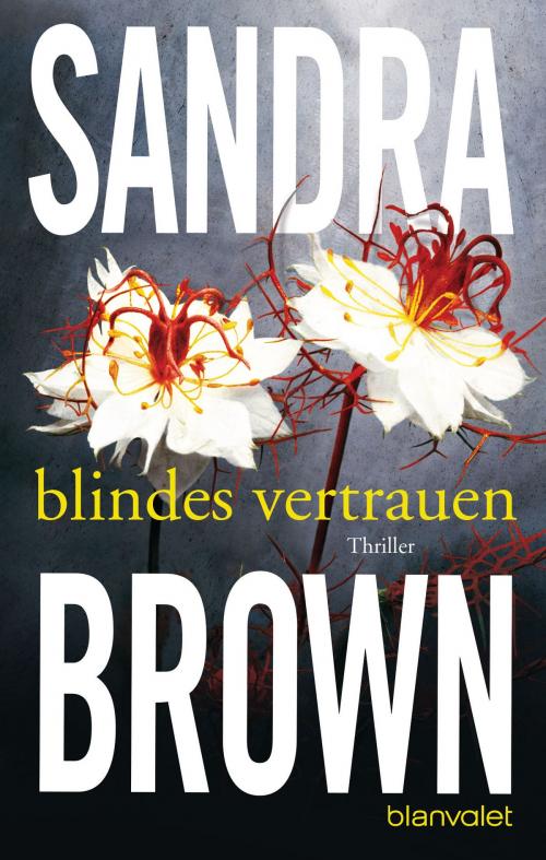 Cover of the book Blindes Vertrauen by Sandra Brown, Blanvalet Verlag