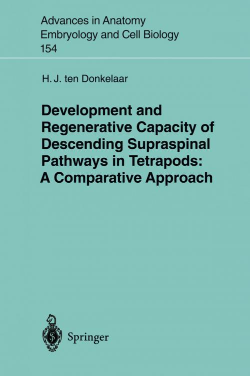 Cover of the book Development and Regenerative Capacity of Descending Supraspinal Pathways in Tetrapods by H.J. ten Donkelaar, Springer Berlin Heidelberg