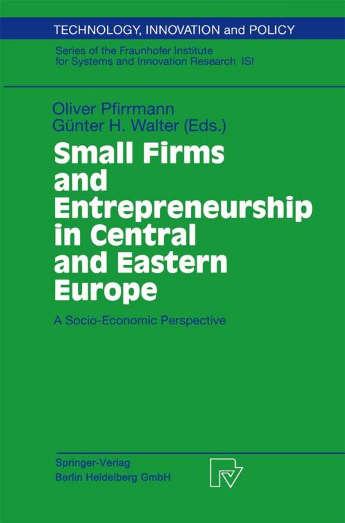 Cover of the book Small Firms and Entrepreneurship in Central and Eastern Europe by , Physica-Verlag HD