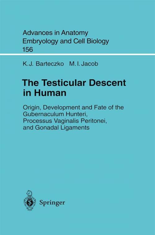 Cover of the book The Testicular Descent in Human by K.J. Barteczko, M.I. Jacob, Springer Berlin Heidelberg