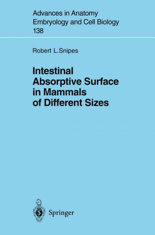 Cover of the book Intestinal Absorptive Surface in Mammals of Different Sizes by Robert L. Snipes, Springer Berlin Heidelberg
