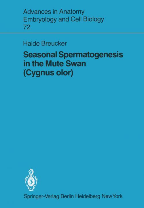 Cover of the book Seasonal Spermatogenesis in the Mute Swan (Cygnus olor) by H. Breucker, Springer Berlin Heidelberg