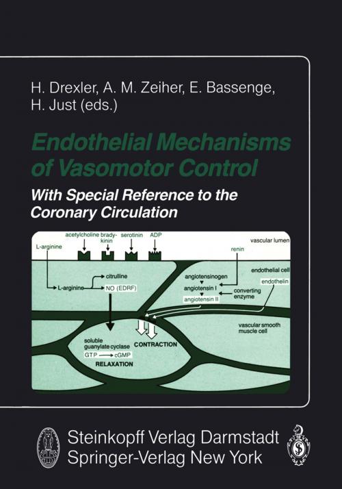Cover of the book Endothelial Mechanisms of Vasomotor Control by , Steinkopff