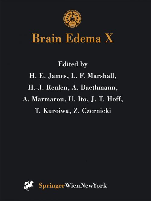 Cover of the book Brain Edema X by , Springer Vienna