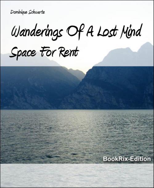 Cover of the book Wanderings Of A Lost Mind by Dominique Schwartz, BookRix