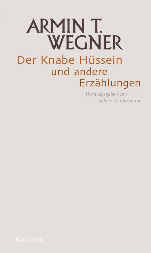 Cover of the book Der Knabe Hüssein und andere Erzählungen by Armin T. Wegner, Wallstein Verlag