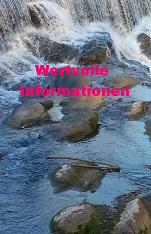 Cover of the book Wertvolle Informationen by A. Weish, epubli GmbH