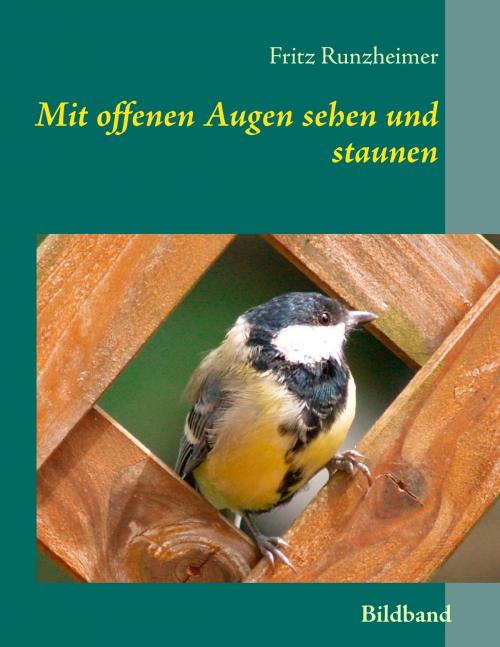 Cover of the book Mit offenen Augen sehen und staunen by Fritz Runzheimer, Books on Demand