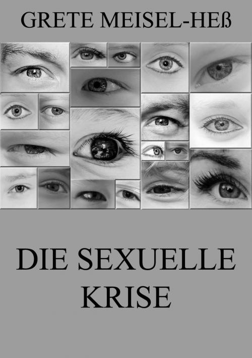 Cover of the book Die sexuelle Krise by Grete Meisel-Heß, Jazzybee Verlag