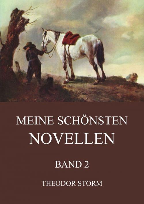 Cover of the book Meine schönsten Novellen, Band 2 by Theodor Storm, Jazzybee Verlag