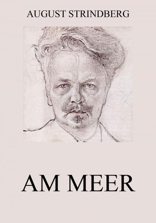 Cover of the book Am Meer by August Strindberg, Jazzybee Verlag