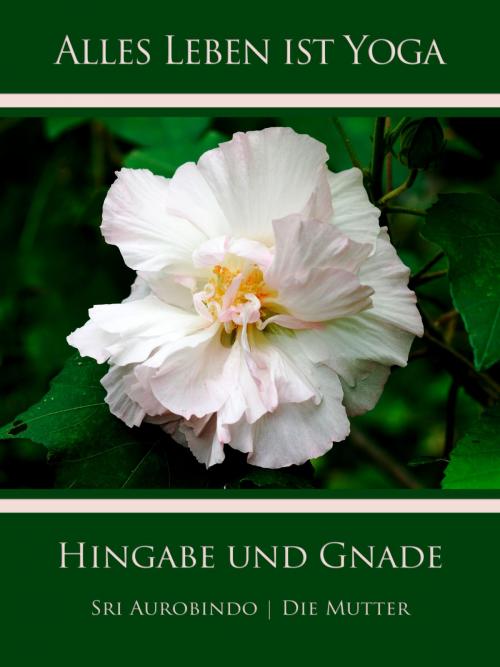 Cover of the book Hingabe und Gnade by Sri Aurobindo, Die (d.i. Mira Alfassa) Mutter, Sri Aurobindo Digital Edition