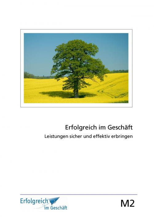 Cover of the book Modul 2: Leistungen sicher und effektiv erbringen by Martina Caspary, Susanne Kriegelstein, Gerhard Gieschen, abc Buchverlag