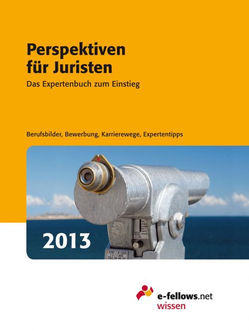 Cover of the book Perspektiven für Juristen 2013 by , e-fellows.net